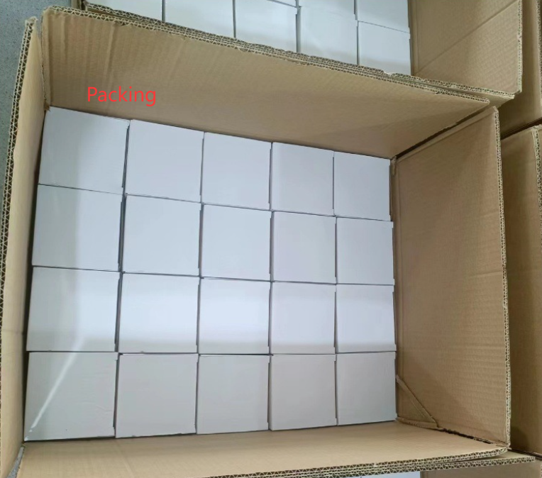 16oz Double Wall Snow Globe Tapered Plastic Cup Tumbler with Pre-drilled Hole and Plug Color Lid-CNLCA