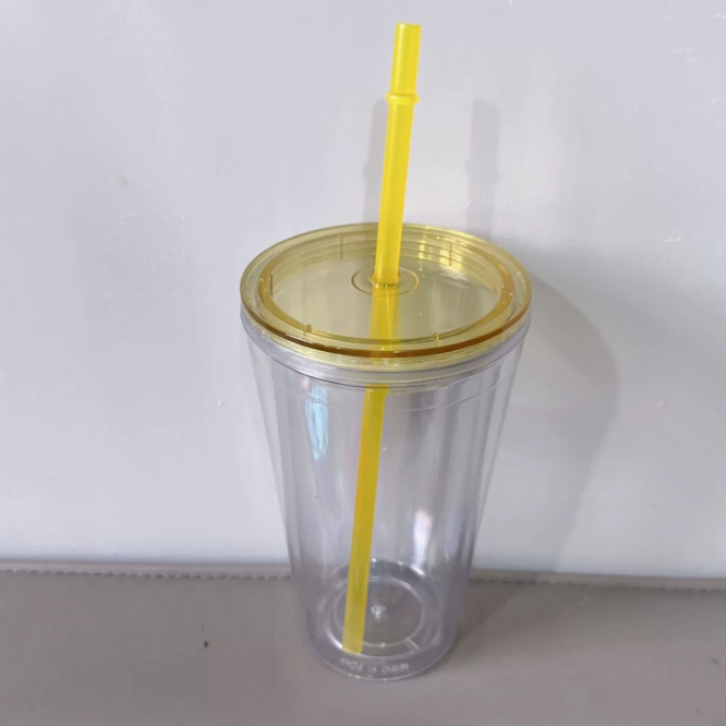 16oz Color Lid Straw Double Wall Snow Globe Tapered Plastic Cup Tumbler with Pre-drilled Hole and Plug-CNLCA