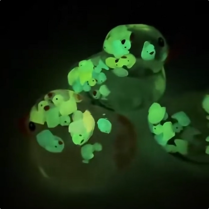 72Pack Glow in Dark Vaseline Filled No Rebound Duck Squishy Squeeze Toy-CNLCA