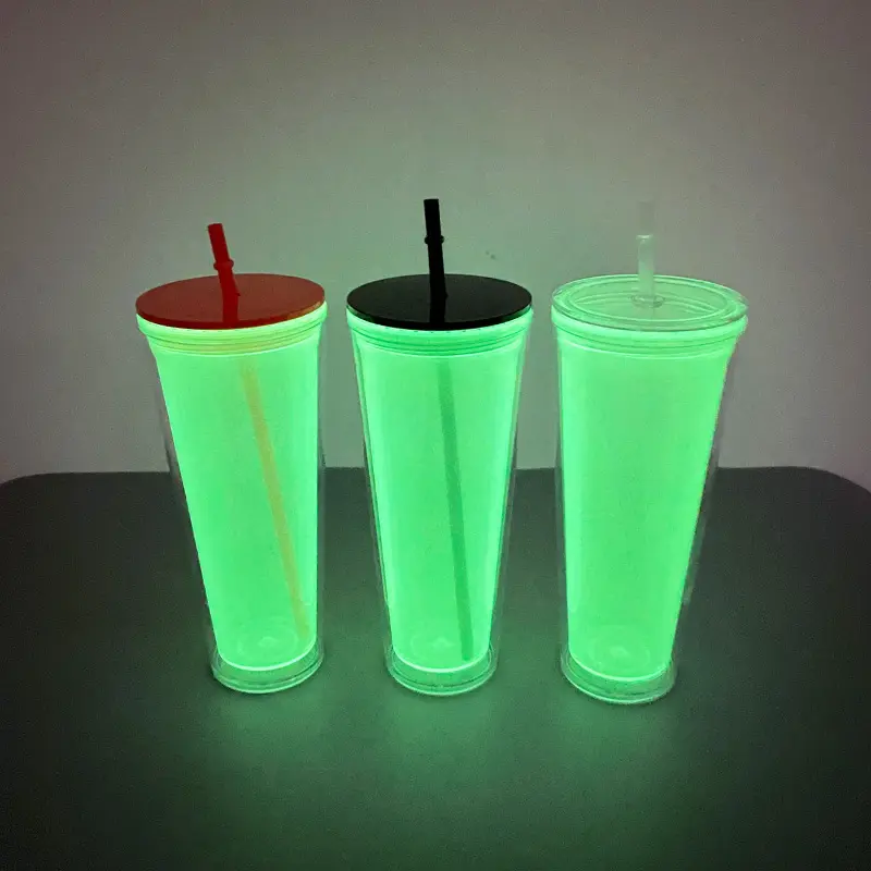 24oz Glow In Dark Double Wall Snow Globe Plastic Cup Tumbler-CNLCA